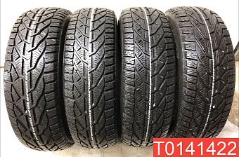 Tigar Winter 195/65 R15 95T 