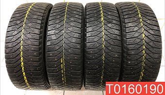 Triangle IceLink Trin PS01 205/55 R16 94T 