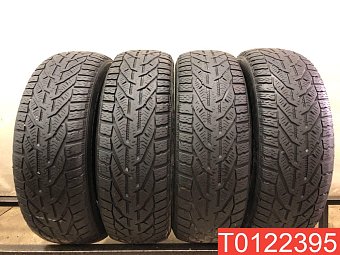 Tigar Winter 195/65 R15 95T 