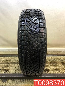 Firestone WinterHawk 195/65 R15 95T 