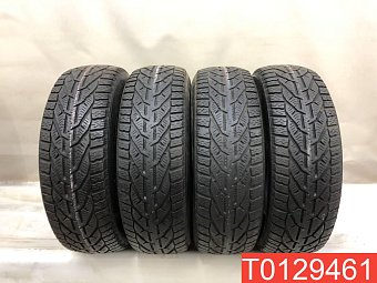 Tigar Winter 195/65 R15 95T 