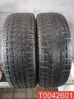 BFGoodrich Winter Slalom KSI 225/60 R17 99S 