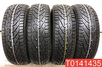 Tigar Winter 195/65 R15 95T 