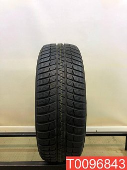 Falken Eurowinter HS449 225/55 R19 99V 