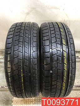 Roadstone Eurovis Alpine WH1 205/55 R16 91T 