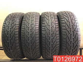 Tigar Winter 195/65 R15 95T 