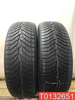 Yokohama BlueEarth Winter V905 225/60 R18 100H 