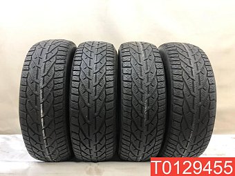 Tigar Winter 195/65 R15 95T 