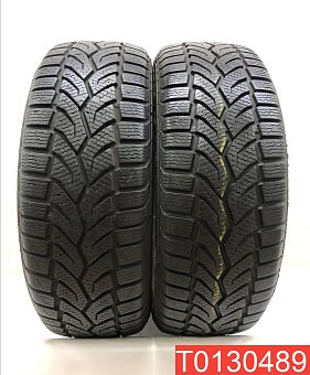 General Tire Altimax Winter plus 205/55 R16 91T 