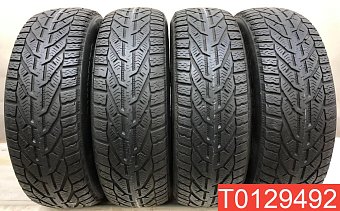 Tigar Winter 195/65 R15 95T 