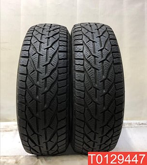 Tigar Winter 195/65 R15 95T 