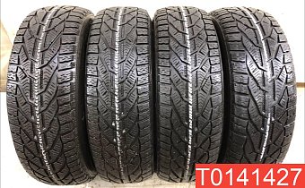 Tigar Winter 195/65 R15 95T 