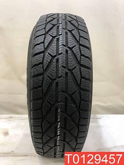 Tigar Winter 195/65 R15 95T 