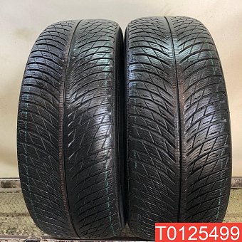 Michelin Pilot Alpin 5 245/55 R17 102V 