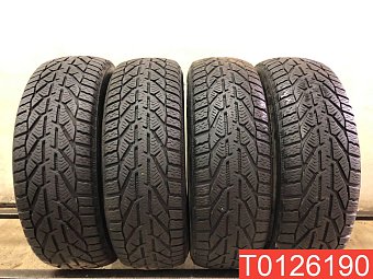 Tigar Winter 195/65 R15 95T 