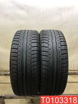 Pirelli Formula Winter 205/55 R16 91H 