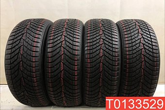 Yokohama BlueEarth Winter V905 225/55 R18 98V 