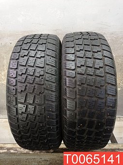 Avalanche X-Treme 225/60 R17 99T 