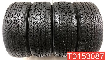 Doublestar WinterKing DW02 205/55 R16 91T 