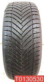 Minerva Allseason Master 225/55 R16 99W 