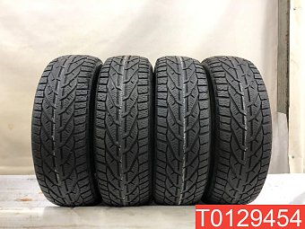 Tigar Winter 195/65 R15 95T Нет