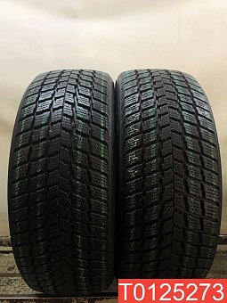 Nexen WinGuard SUV 225/55 R18 102V 