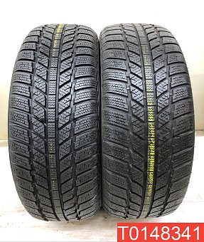 Evergreen Winter EW62 205/55 R16 91H 