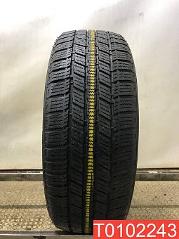 Minerva Ice Plus S110 195/55 R16 87H 