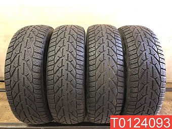 Tigar Winter 195/65 R15 95T 