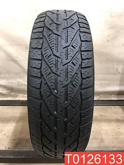 Tigar Winter 195/65 R15 95T 