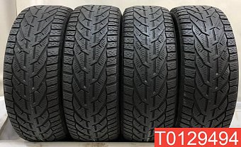 Tigar Winter 195/65 R15 95T 